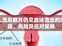 人流后數(shù)月仍見血塊流出的原因、風(fēng)險(xiǎn)及應(yīng)對(duì)策略
