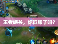 王者峽谷，你征服了嗎？