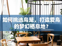 如何挑選鳥籠，打造愛鳥的夢幻棲息地？