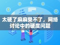 太硬了麻麻受不了，網(wǎng)絡(luò)討論中的硬度問題