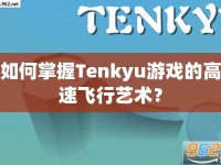 如何掌握Tenkyu游戲的高速飛行藝術(shù)？
