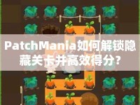 PatchMania如何解鎖隱藏關(guān)卡并高效得分？