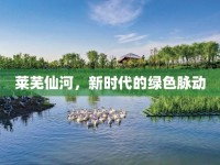 萊蕪仙河，新時代的綠色脈動