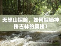 無(wú)想山探險(xiǎn)，如何解鎖神秘古林的奧秘？