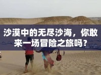 沙漠中的無盡沙海，你敢來一場冒險之旅嗎？