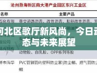 河北區(qū)歌廳新風(fēng)尚，今日動(dòng)態(tài)與未來展望