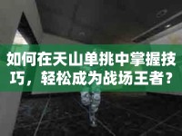 如何在天山單挑中掌握技巧，輕松成為戰(zhàn)場王者？