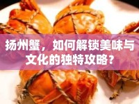 揚(yáng)州蟹，如何解鎖美味與文化的獨(dú)特攻略？