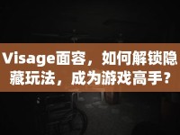 Visage面容，如何解鎖隱藏玩法，成為游戲高手？
