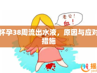 懷孕38周流出水液，原因與應(yīng)對(duì)措施