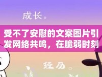 受不了安慰的文案圖片引發(fā)網(wǎng)絡(luò)共鳴，在脆弱時(shí)刻，我們真正需要的是什么？