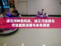 滹沱河畔新風尚，滹沱河碰碰車項目最新進展與未來展望