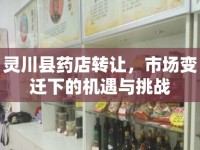 靈川縣藥店轉(zhuǎn)讓，市場變遷下的機(jī)遇與挑戰(zhàn)