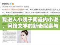 我進入小姨子陰盜內(nèi)小說，網(wǎng)絡(luò)文學(xué)的新奇探索與反思