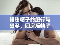 揭秘精子的旅行與受孕，同房后精子流出來是正?，F(xiàn)象嗎？