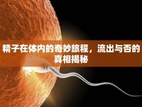 精子在體內(nèi)的奇妙旅程，流出與否的真相揭秘