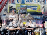 怪物H，多維解析揭示的神秘生物真相是什么？