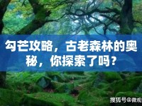 勾芒攻略，古老森林的奧秘，你探索了嗎？
