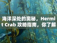 海洋深處的奧秘，Hermit Crab 攻略指南，你了解多少？