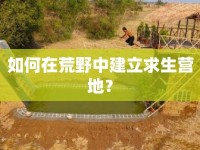 如何在荒野中建立求生營地？