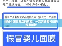揭秘小面膜背后的真相，一次消費者權(quán)益的深度剖析