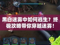 黑白迷霧中如何逃生？終極攻略帶你穿越迷霧！