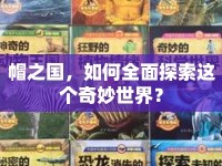 帽之國(guó)，如何全面探索這個(gè)奇妙世界？