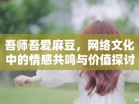 吾師吾愛麻豆，網(wǎng)絡(luò)文化中的情感共鳴與價(jià)值探討