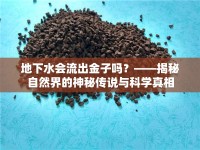 地下水會(huì)流出金子嗎？——揭秘自然界的神秘傳說(shuō)與科學(xué)真相