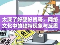 太深了好硬好燙哥，網(wǎng)絡(luò)文化中的獨(dú)特現(xiàn)象與反思