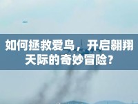 如何拯救愛鳥，開啟翱翔天際的奇妙冒險(xiǎn)？
