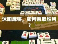 沭陽麻將，如何智取勝利？