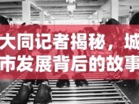 大同記者揭秘，城市發(fā)展背后的故事與挑戰(zhàn)