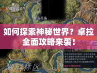 如何探索神秘世界？卓拉全面攻略來襲！