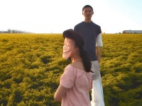精靈之心如何點燃夢想世界手游中冒險者的希望與信念？