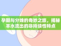 孕期與分娩的奇妙之旅，揭秘羊水流出的非持續(xù)性特點(diǎn)