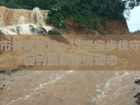 岳陽市共筑防線，以堅實步伐守護(hù)家園的最新疫情動態(tài)