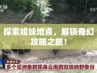 探索姐妹地點(diǎn)，解鎖奇幻攻略之旅！