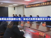墾原縣法院最新公告，法治之光照亮基層正義之路
