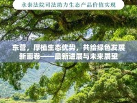 東營，厚植生態(tài)優(yōu)勢，共繪綠色發(fā)展新畫卷——最新進展與未來展望
