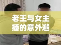 老王與女主播的意外邂逅，笑料百出的網(wǎng)絡(luò)惡搞大戲