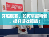 芬超聯(lián)賽，如何掌握精髓，提升游戲策略？