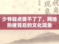 少爺輕點受不了了，網(wǎng)絡熱梗背后的文化現(xiàn)象