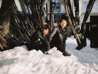 依依綜合究竟有何獨(dú)特魅力，能全方位滿足你的需求？