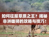 如何征服草原之王？揭秘非洲雄獅的攻略與技巧！