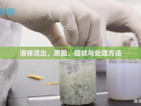 液體流出，原因、癥狀與處理方法
