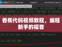 香蕉代碼視頻教程，編程新手的福音