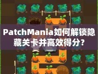 PatchMania如何解鎖隱藏關(guān)卡并高效得分？