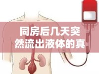 同房后幾天突然流出液體的真相，解讀身體信號，守護(hù)女性健康