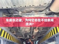 車底水之謎，為何它總在不經(jīng)意間流淌？